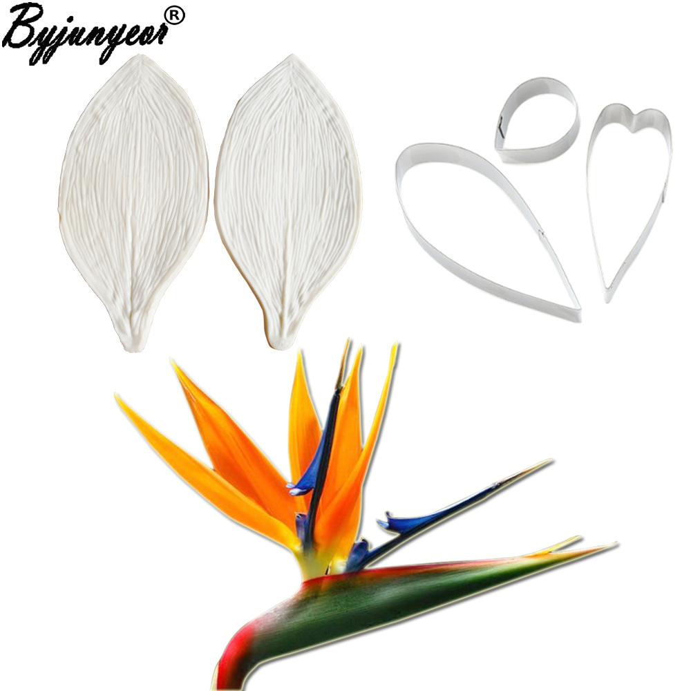 Bird Paradise Strelitzia - Большая клейкая паста Strelitzia птицы рая