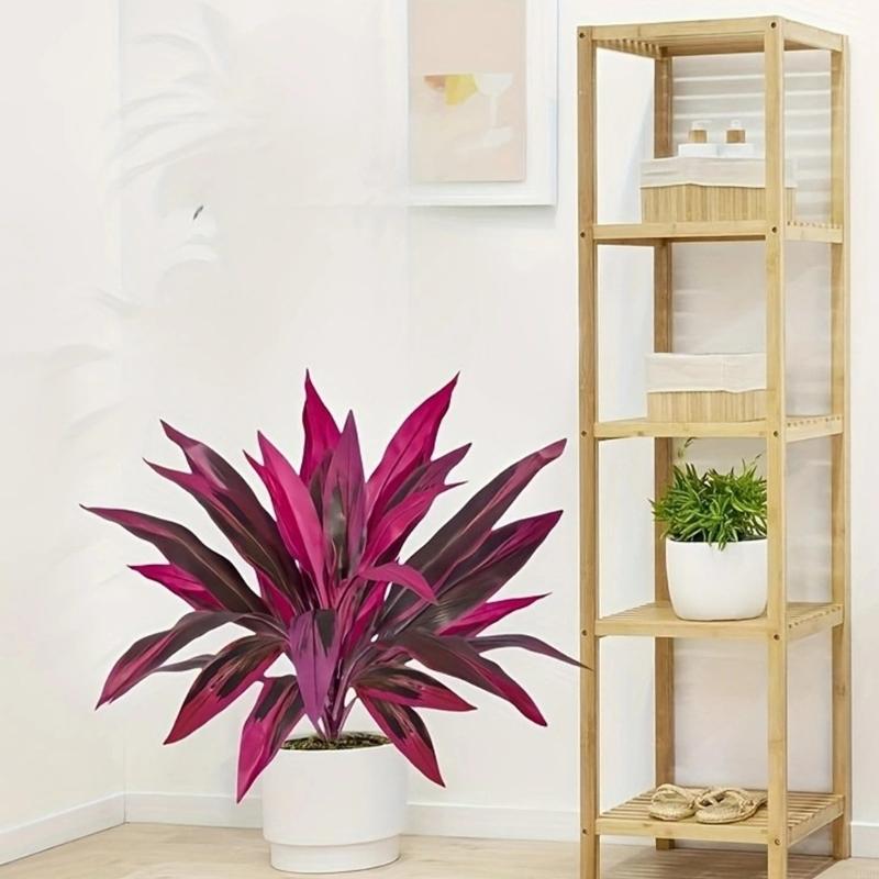 Искусственное растение Драцена – обзор и цена Dracaena Marginata