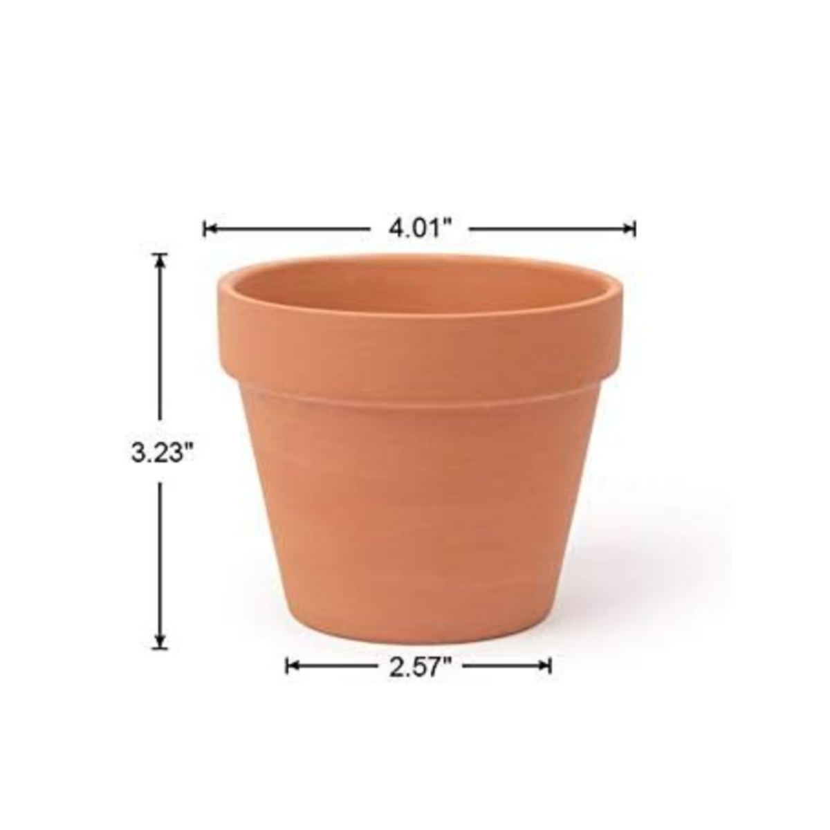 6 шт. 4-дюймовые терракотовые  – обзор и цена Echeveria Succulent