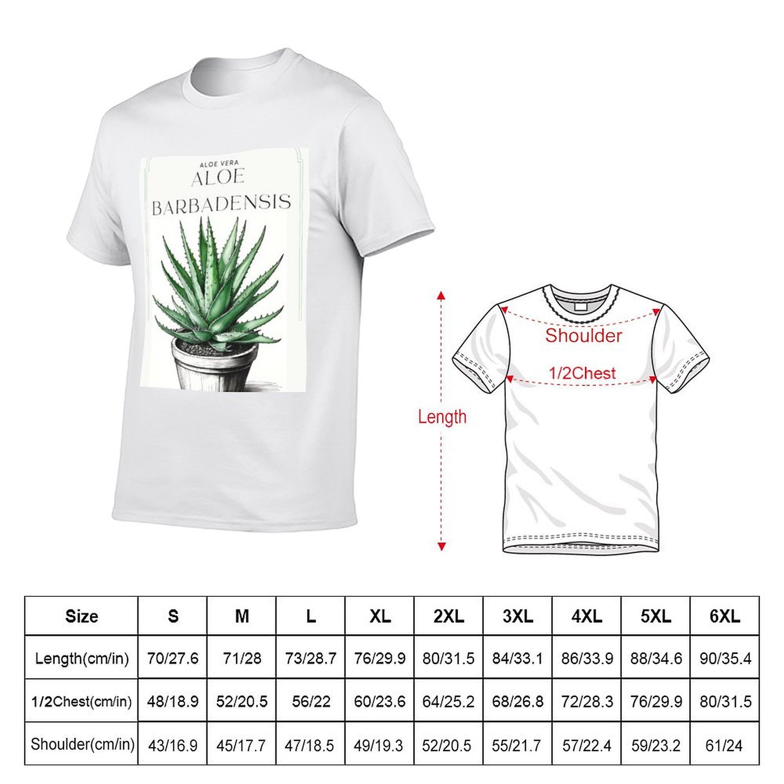 Ботанический рисунок алоэ вера – обзор и цена Aloe Vera Pot