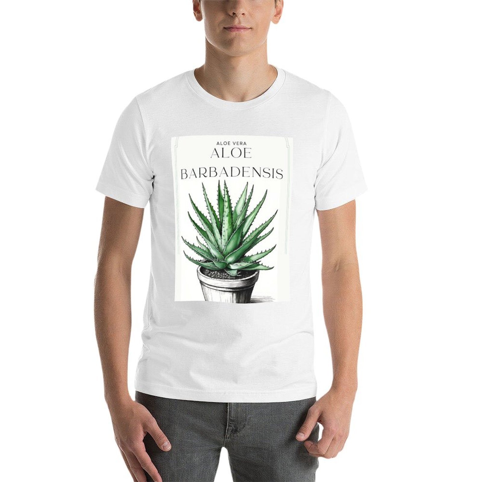 Ботанический рисунок алоэ вера – обзор и цена Aloe Vera Pot