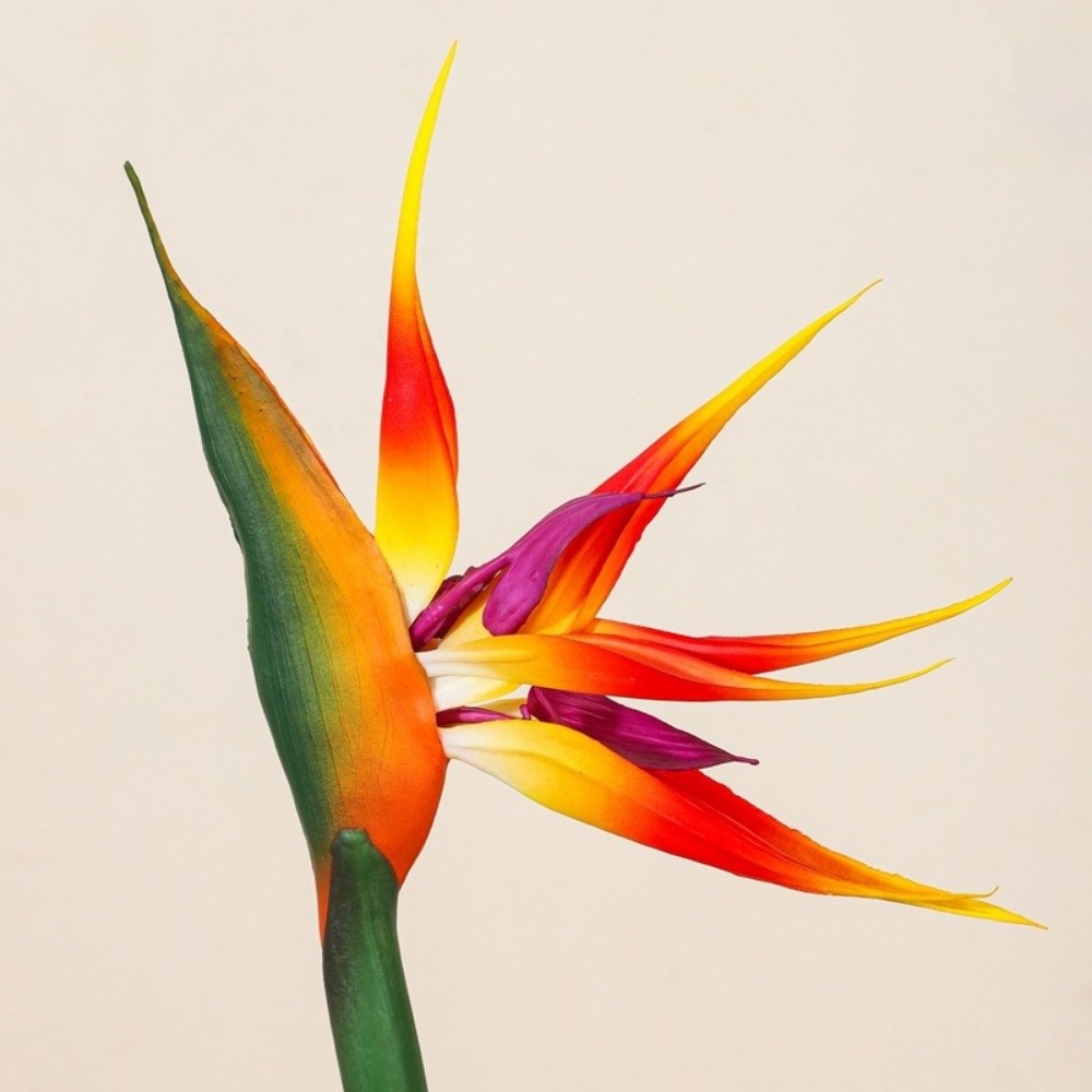 Новые искусственные цветы стре – обзор и цена Bird Paradise Strelitzia