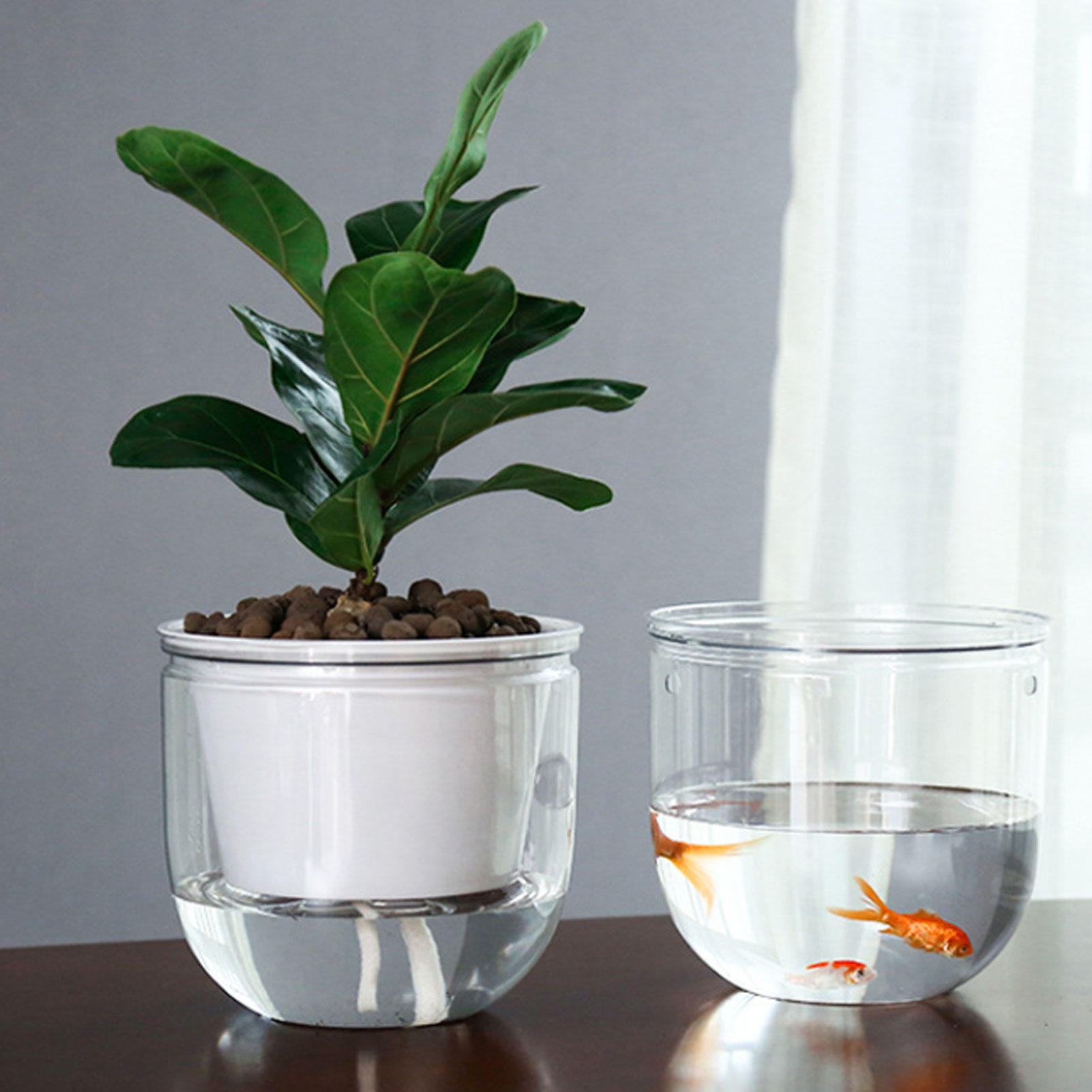 Автоматические самополивающиес – обзор и цена Spider Plant Hanging