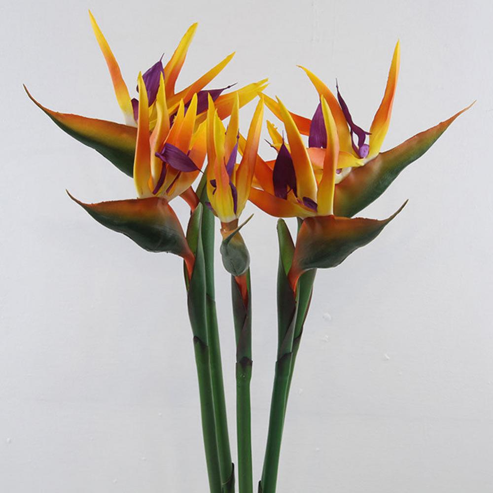 1 шт., 80 см, цветок, птица ра – обзор и цена Bird Paradise Strelitzia