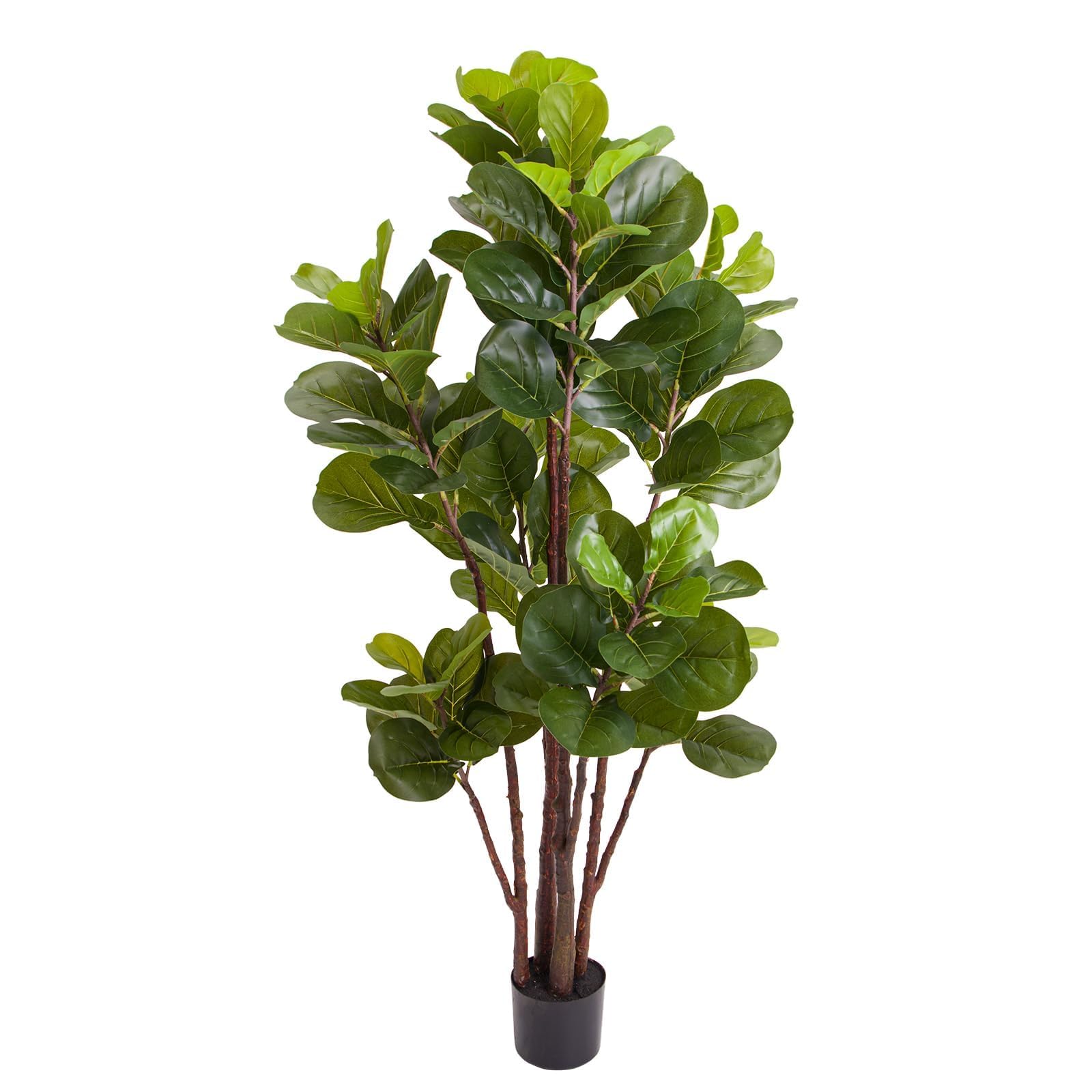 Искусственное дерево фикус лир – обзор и цена Ficus Lyrata Tree