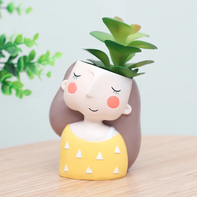 Цветочный горшок для милой дев – обзор и цена Echeveria Succulent
