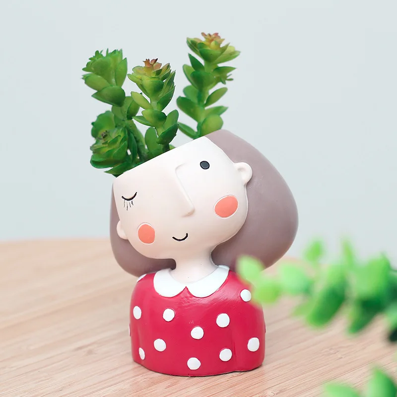 Цветочный горшок для милой дев – обзор и цена Echeveria Succulent