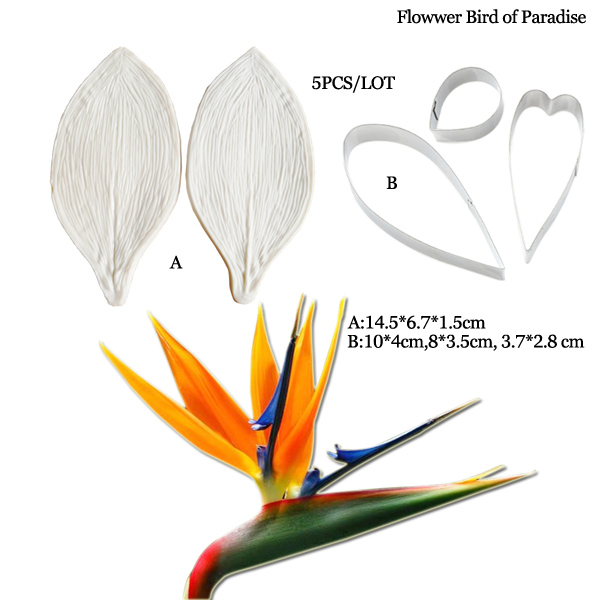 Большая клейкая паста Strelitz – обзор и цена Bird Paradise Strelitzia