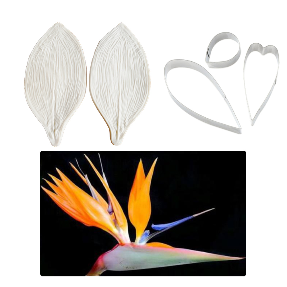 Большая клейкая паста Strelitz – обзор и цена Bird Paradise Strelitzia