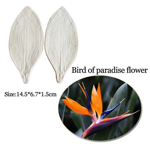 Большая клейкая паста Strelitz – обзор и цена Bird Paradise Strelitzia
