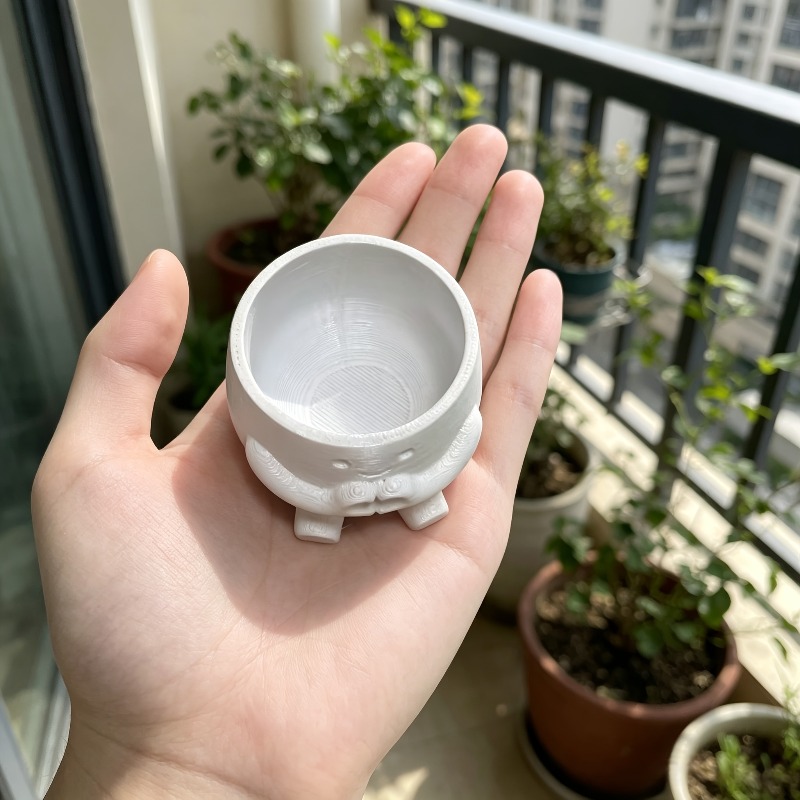 1 шт. милый цветочный горшок в – обзор и цена Echeveria Succulent
