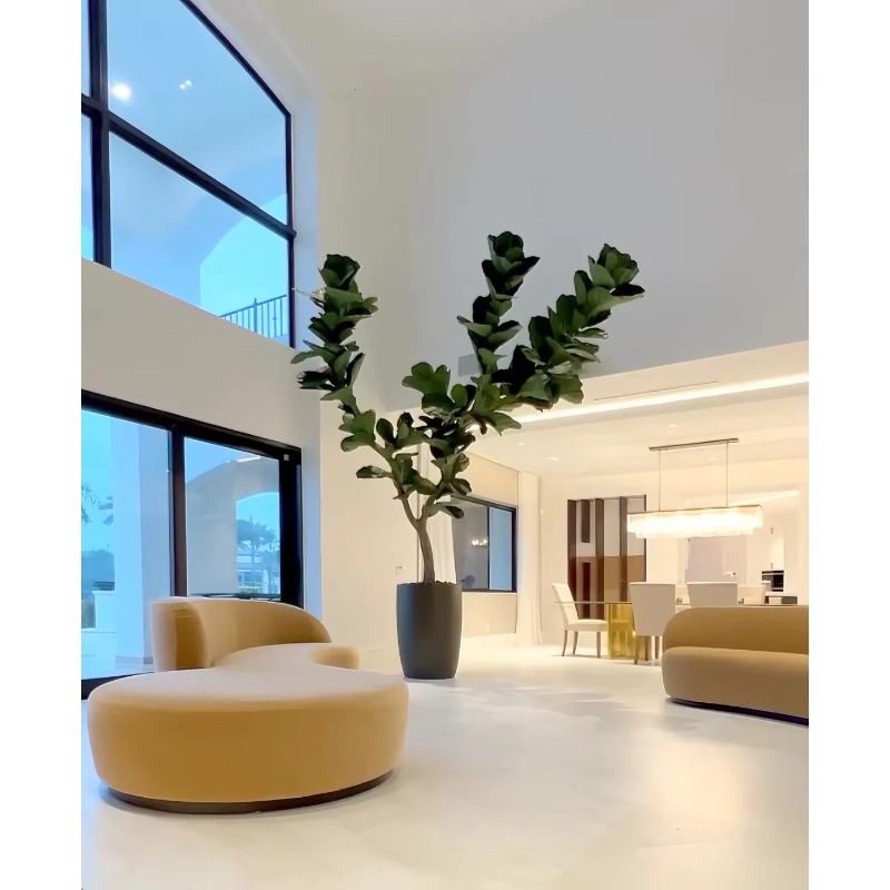Искусственные растения Комнатн – обзор и цена Ficus Lyrata Tree
