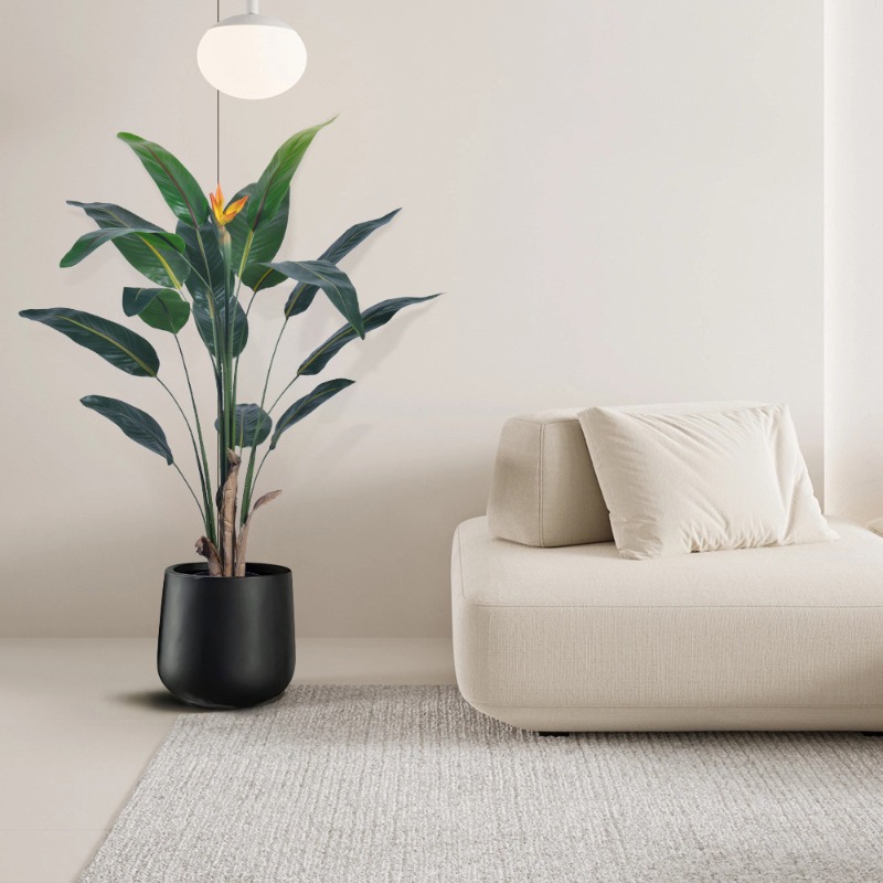 Реалистичное крупное искусстве – обзор и цена Bird Paradise Strelitzia