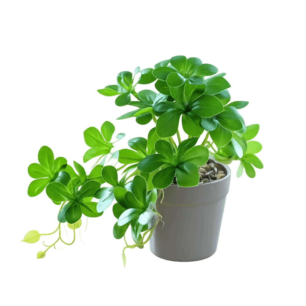 Искусственный бонсай, искусств – обзор и цена Spider Plant Hanging