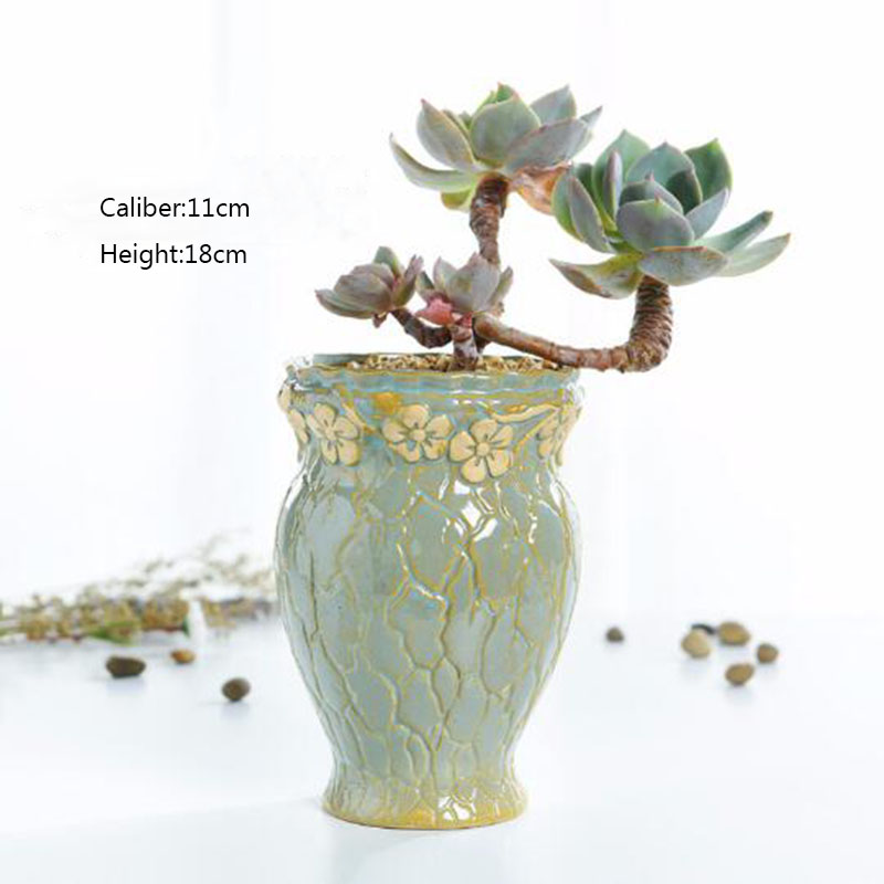 Суккулентные растения, цветочн – обзор и цена Echeveria Succulent
