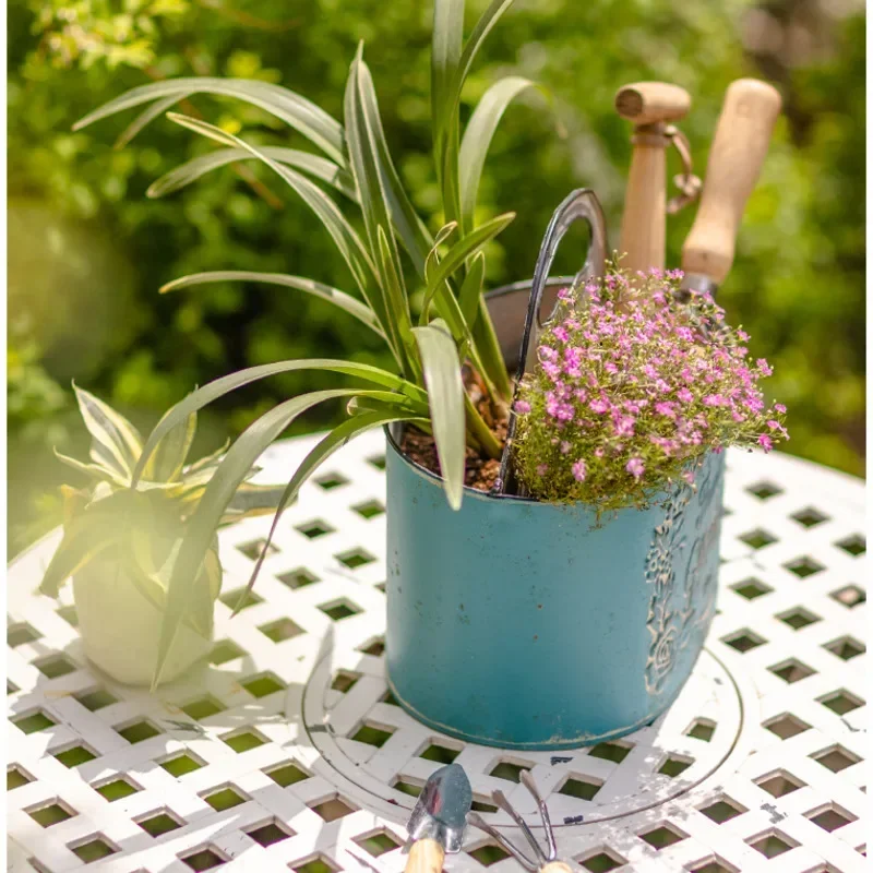 Синий подвесной настенный горш – обзор и цена Spider Plant Hanging