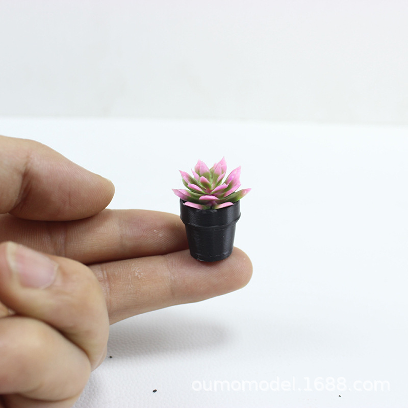 Мини-имитация растений, модель – обзор и цена Echeveria Succulent