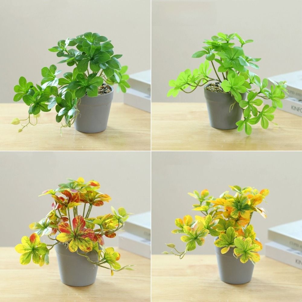 Искусственный бонсай, искусств – обзор и цена Spider Plant Hanging