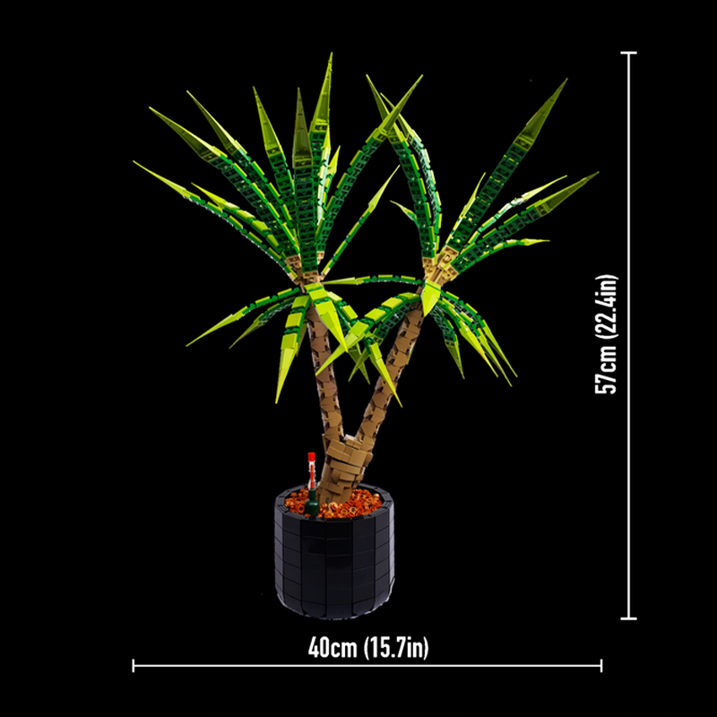 Набор для сборки модели Дракон – обзор и цена Dracaena Marginata