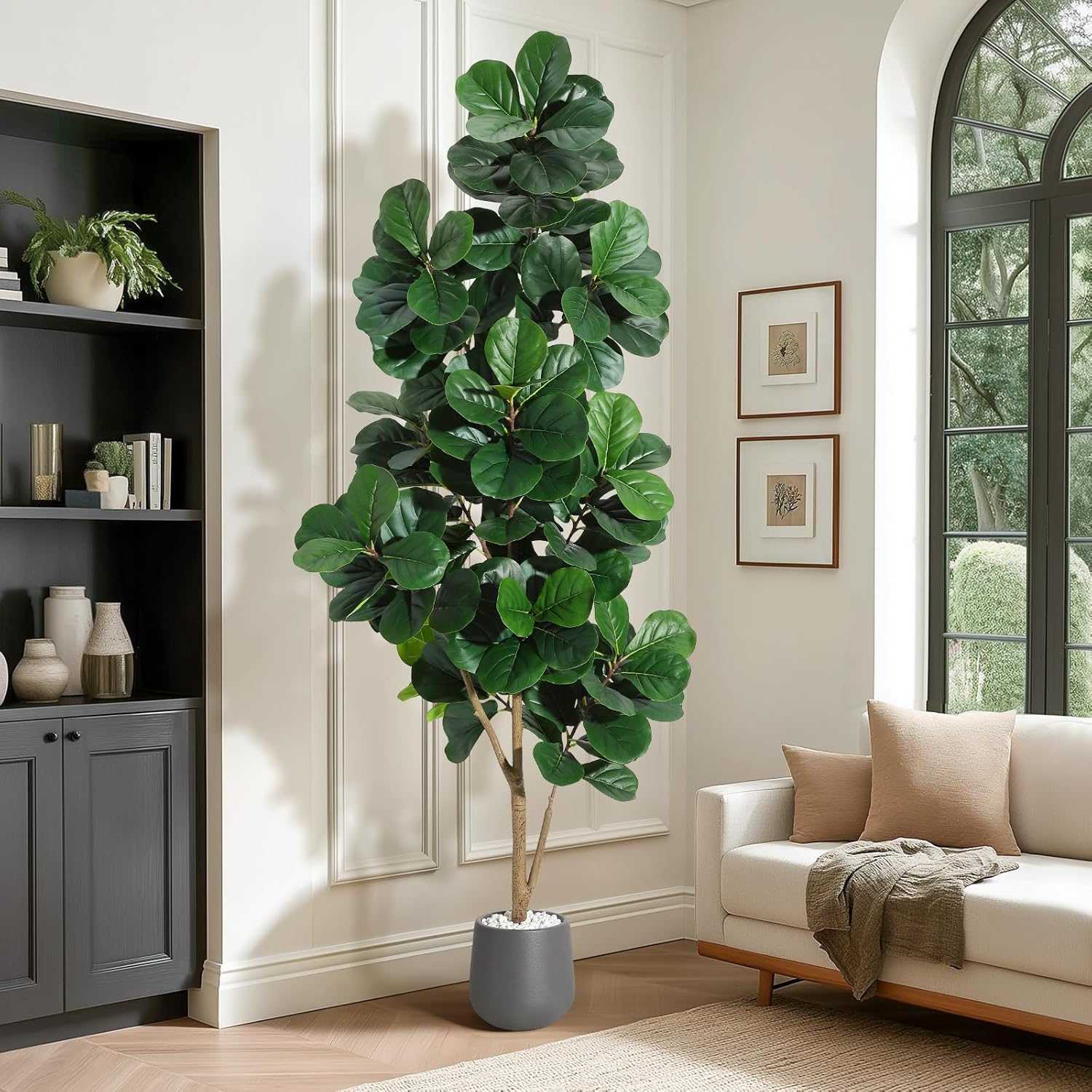 4 фута/5 футов/6 футов/7 футов – обзор и цена Ficus Lyrata Tree