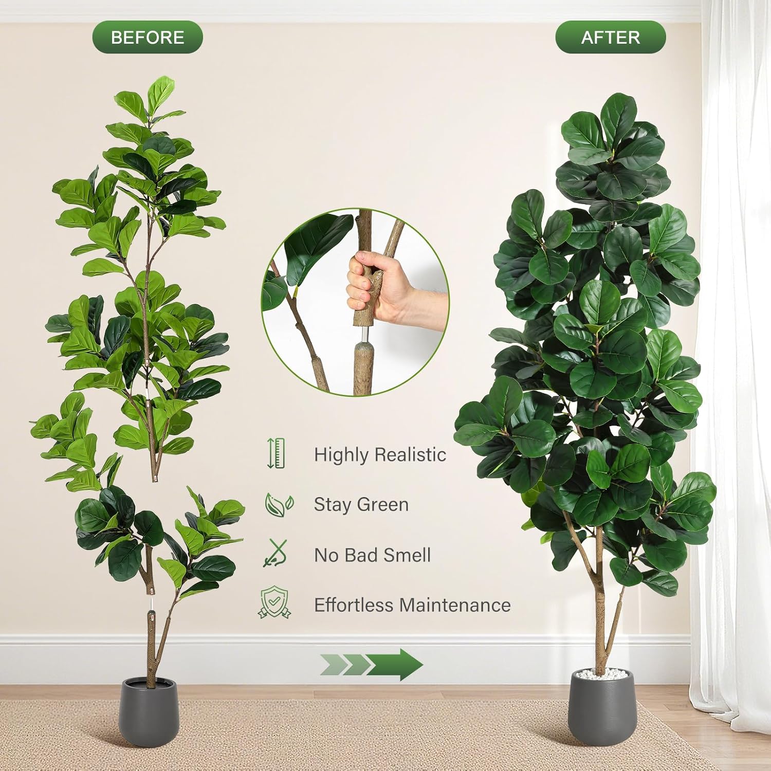 4 фута/5 футов/6 футов/7 футов – обзор и цена Ficus Lyrata Tree