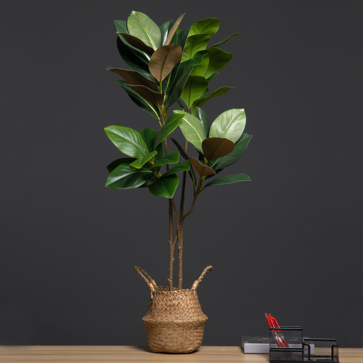 105 см 2 вилки, большие искусс – обзор и цена Dracaena Marginata