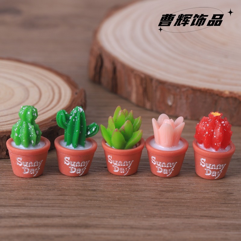 5 шт., имитация сочных горшечн – обзор и цена Echeveria Succulent