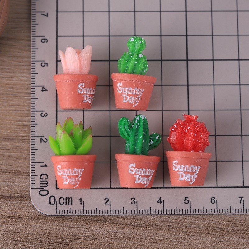 5 шт., имитация сочных горшечн – обзор и цена Echeveria Succulent